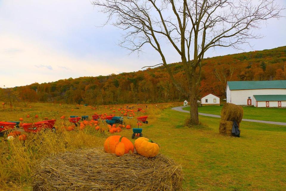 20) Heaven Hill Farm in Vernon, NJ