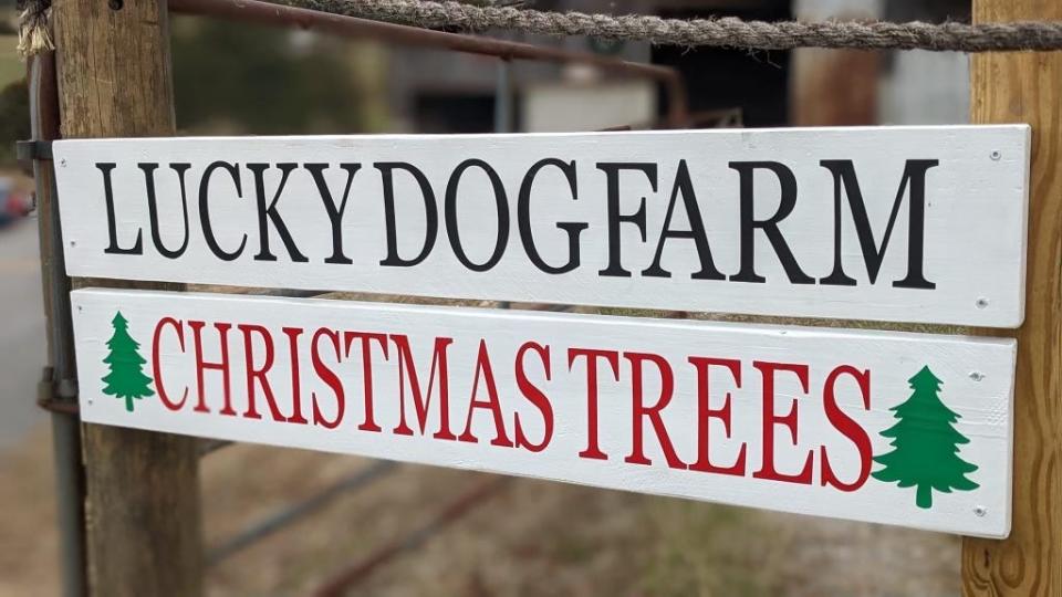 Lucky Dog Farm Christmas Trees logo