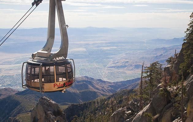 If you’re not afraid of heights, the Aerial Tramway is the perfect way to see incredible views over Palm Springs. Photo: Visit Greater Palm Springs