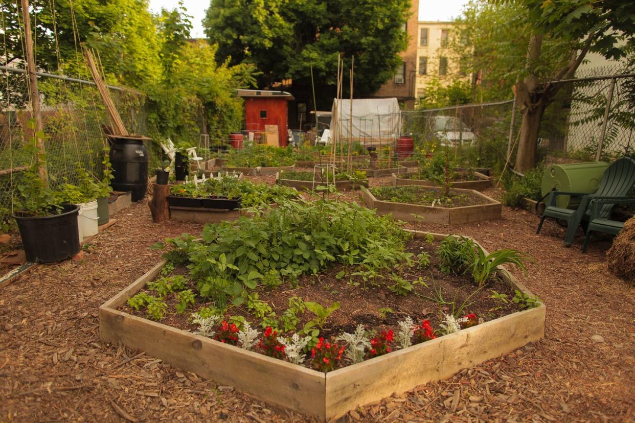 raised garden bed ideas