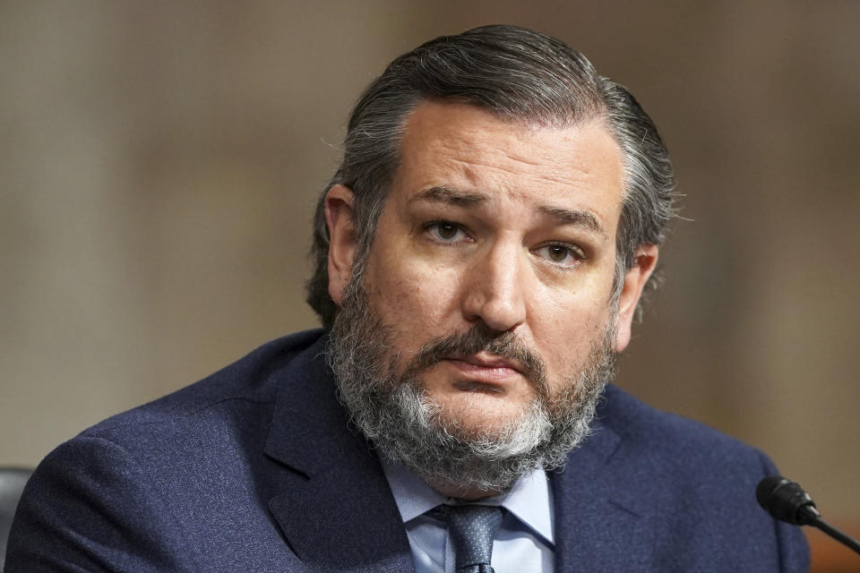 Sen. Ted Cruz, R-Texas, speaks during a Senate Committee on Homeland Security and Governmental Affairs and Senate Committee on Rules and Administration joint hearing Wednesday, March 3, 2021, examining the January 6, attack on the U.S. Capitol in Washington. (Greg Nash/Pool via AP)