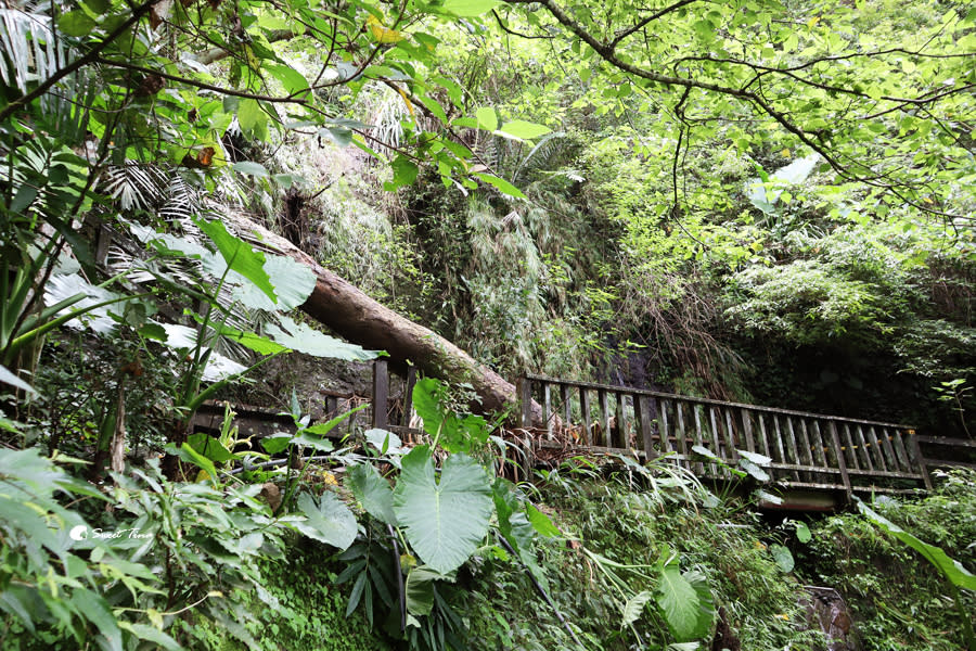 竹坑溪步道