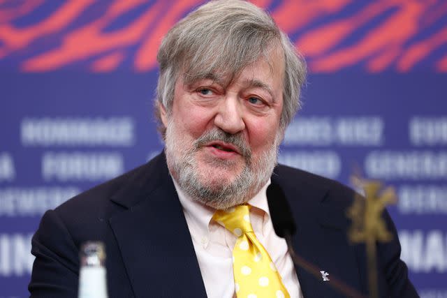 <p>Sebastian Reuter/Getty</p> Stephen Fry