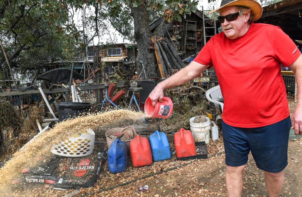 Roland Hill throws out chicken feed for chickens belonging to an evacuated neighbor off Burrough Valley Road near Tollhouse on Friday, Sept. 18, 2020. Most of Hill’s neighbors evacuated the Creek Fire but he stayed put, feeling he was safe from the fire and needed to keep watch over his property.