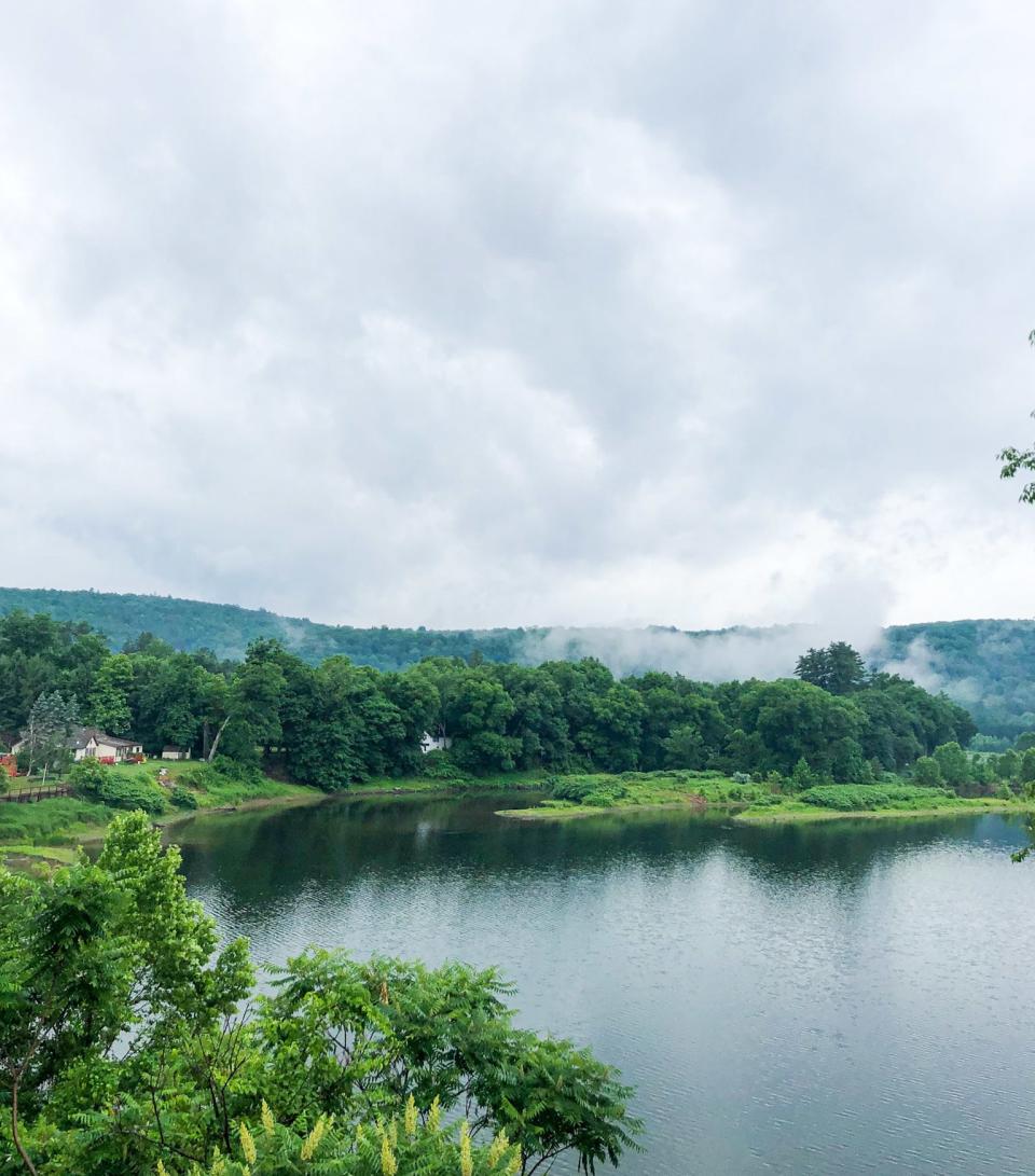 The banks of a river showing greenery, trees, and hills