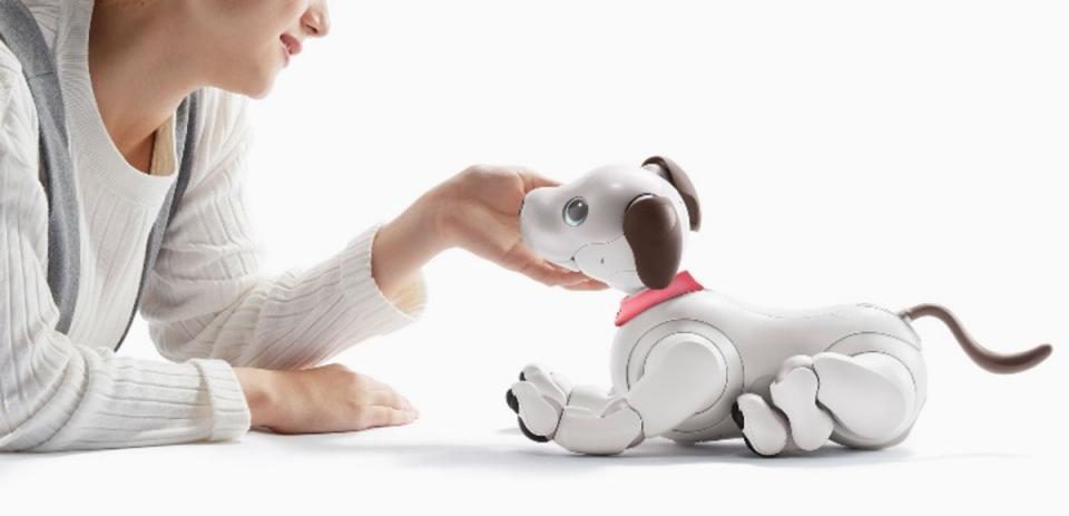 Sony推出「aibo Foster Parent」計畫，為機器狗再找一個家