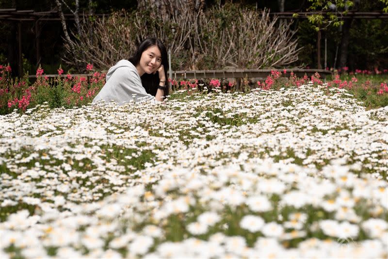 花坊內也栽培色彩繽紛的花卉。 （圖／攝影師Yuan提供）