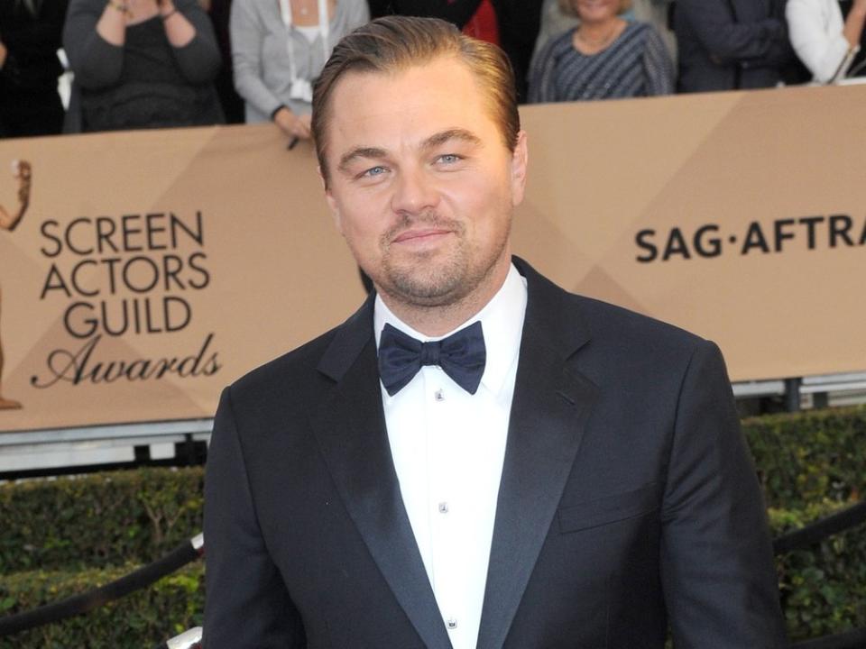 Leonardo DiCaprio hat sich für den Umweltschutz in Kamerun eingesetzt. (Bild: Tinseltown / Shutterstock.com)