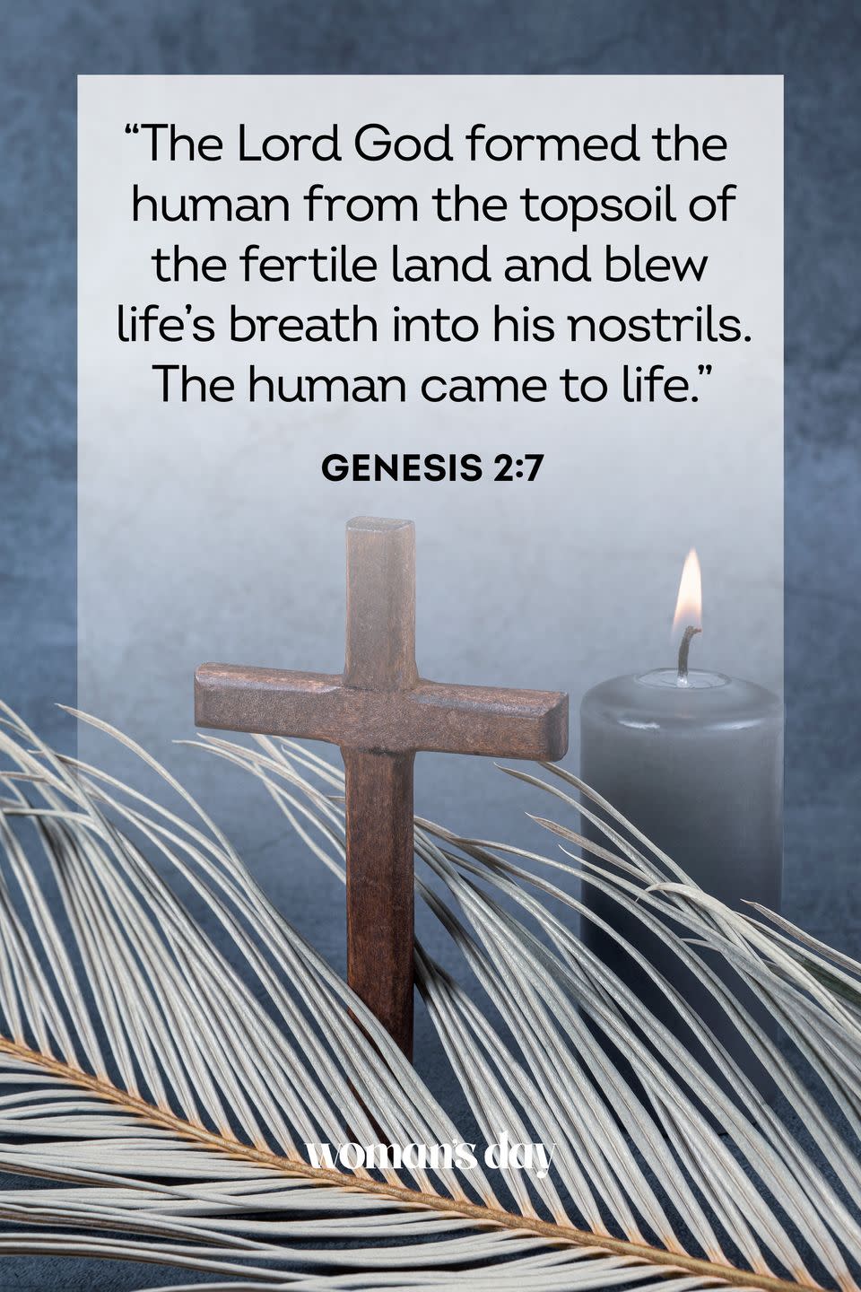 ash wednesday bible verses genesis 2 7