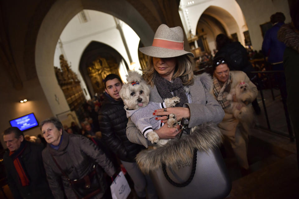 <p>A woman holds up her pet inside Saint Pablo church, during the feast of St. Anthony, Spain’s patron saint of animals, in Zaragoza, northern Spain, Wednesday, Jan.17, 2018. (Photo: Alvaro Barrientos/AP) </p>