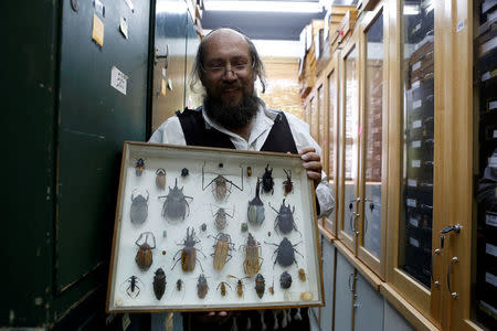 Laibale Friedman, a collection manager at Tel Aviv University carries a specimen display box at a laboratory whose collection will be housed at the Steinhardt Museum of Natural History, a new Israeli natural history museum set to open next year in Tel Aviv, Israel June 8, 2016. REUTERS/Nir Elias