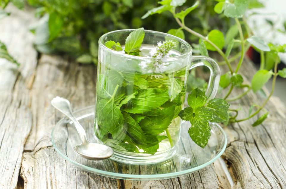 mint edible flowers