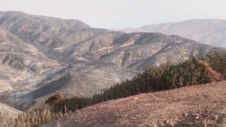 FILE PHOTO - A general view of the aftermath from the Holy fire, in McVicker Canyon, California, U.S., August 11, 2018 in this still image from social media obtained on August 12, 2018. CARLA HARPER/via REUTERS