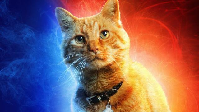 What We Know About the Cats Movie So Far