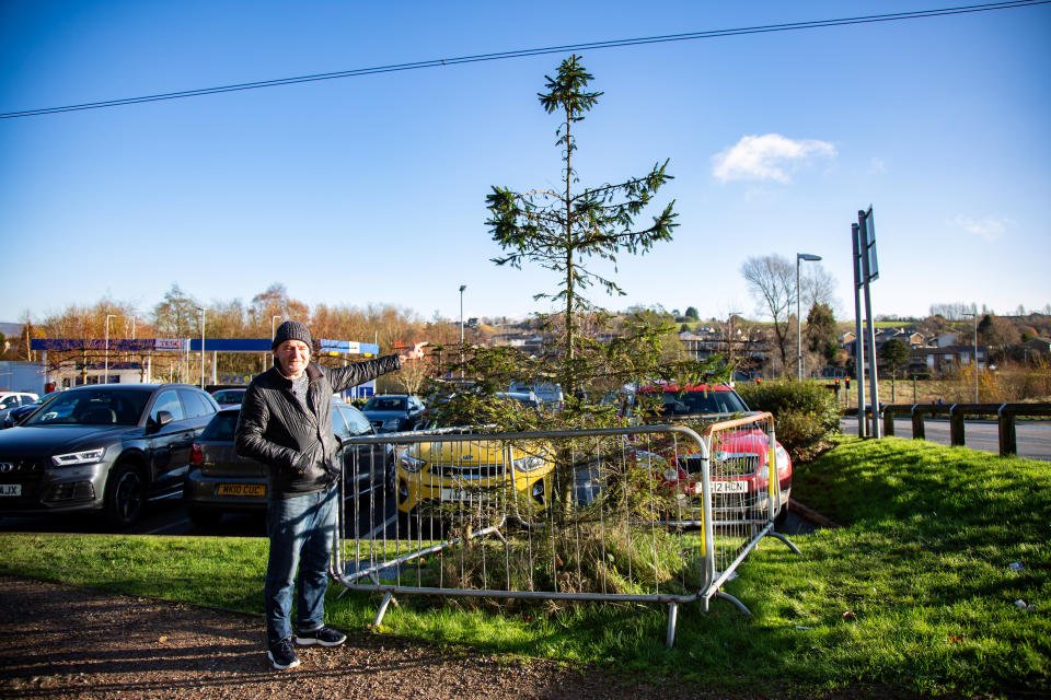 The bare Christmas tree outside The Hub, in Hattersley, Greater Manchester, has shocked locals due to its condition. (SWNS)