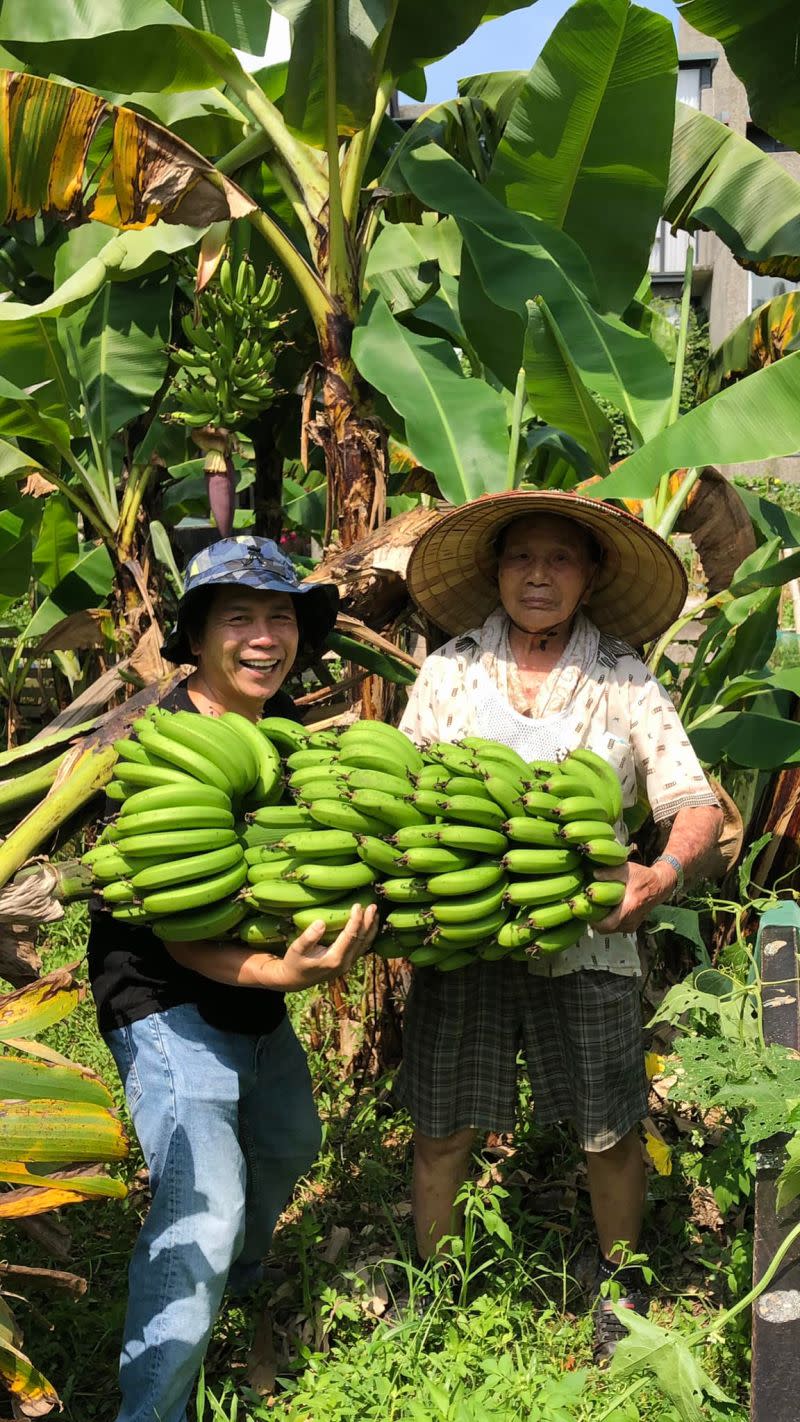 ▲許傑輝（左）與96歲老父親採收香蕉。（圖／翻攝自許傑輝臉書）