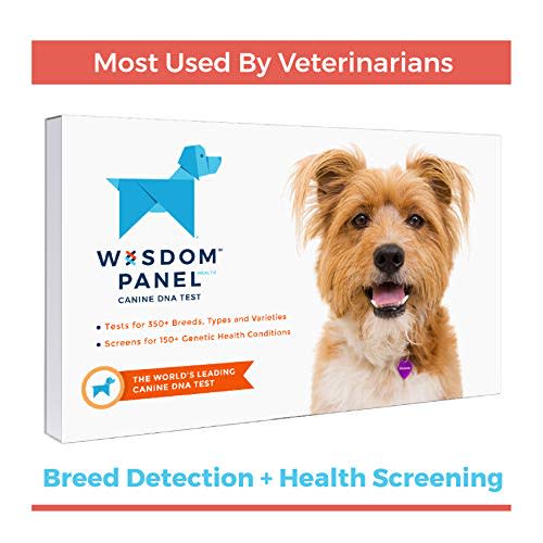 Wisdom Panel Breed Detection + Health Screening