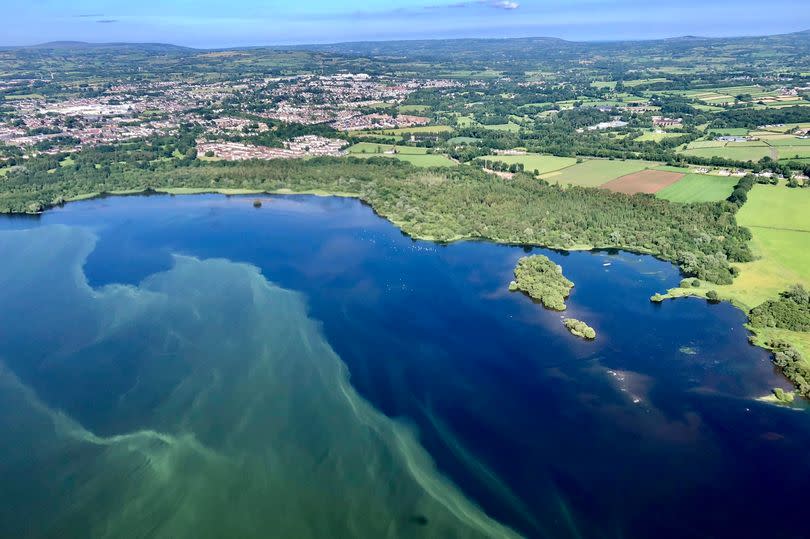 With a heatwave due Lough Neagh campaigners fear it will only get worse