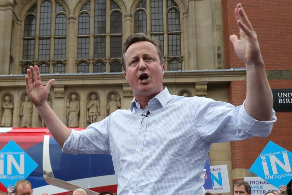 Appeal: David Cameron speaks in Birmingham during the 2016 referendum campaign: Getty Images