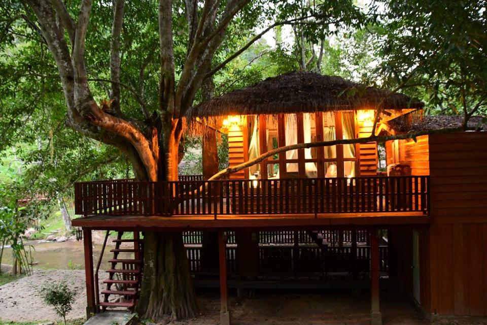 airbnb treehouse thailand