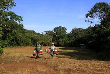 Researchers from the Uganda Virus Research Institute (UVRI) carry insect traps at the Zika Forest in Entebbe, south of Uganda's capital Kampala March 2, 2016. REUTERS/James Akena