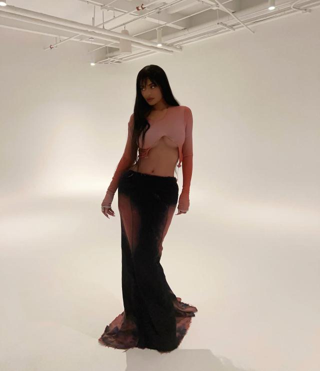 Kylie Jenner Paired an Underboob-Baring Crop Top With the Lowest