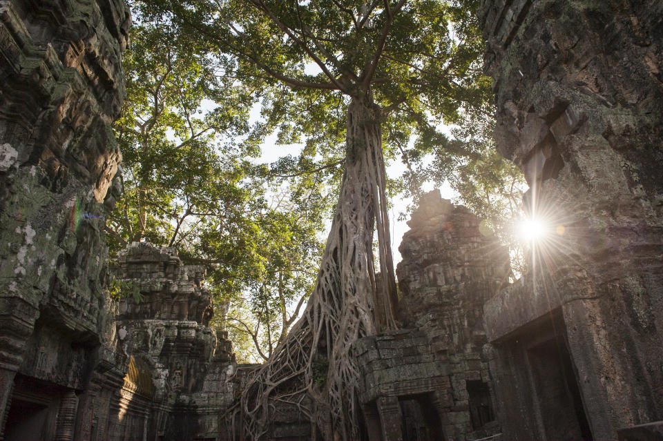 When my family and I were traveling in Cambodia, we decided to bypass the main complex at Angkor Wat, where all the tourists go for the sunrise. We went instead to Ta Prohm, which is shrouded in dense jungle. The temple looks as if it is being protected by the tall trees that soar into the sky, their roots cradling the ancient carved stones. Experiencing this incredible temple on our own is one of my most treasured memories. &nbsp;