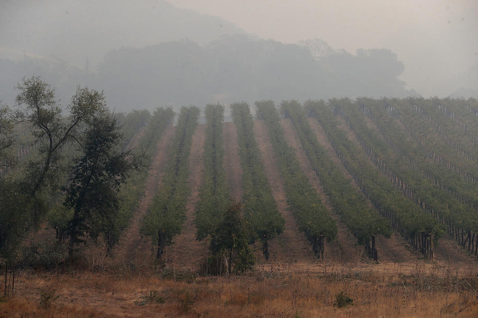 Heavy smoke hangs over a vineyard as the Nuns Fire continues to burn on Oct. 10, 2017, in Glen Ellen, California. (Photo: Justin Sullivan via Getty Images)