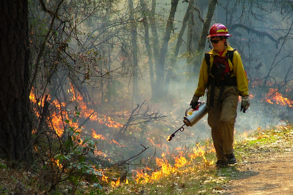 A Bureau of Land Management employee engages in prescribed burning along a fire control line in Oregon. (Photo: Bureau of Land Management.)