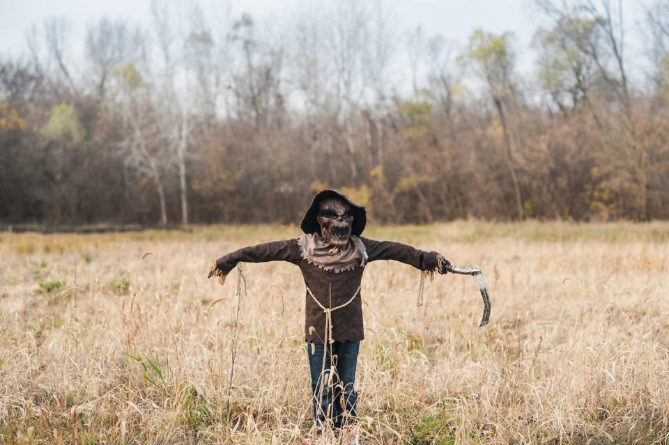 Scary Scarecrow Costume