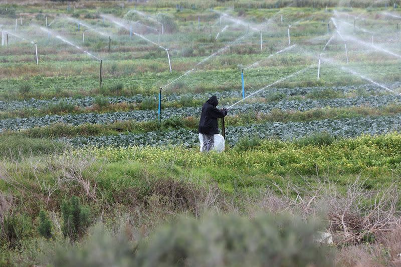 South Africa's power cuts leave farmers in despair