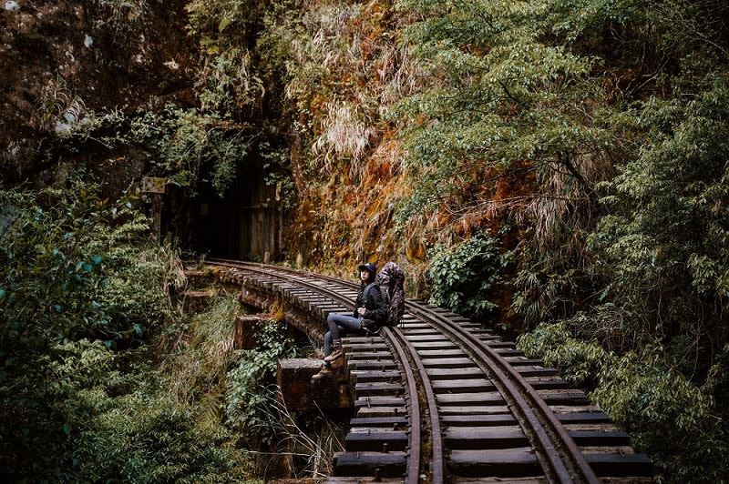 穿越木橋、叢林、河流，感受林間光影，邀請好友一起走一趟讓身心靈都難忘的徒步之旅。（圖／KLOOK提供）