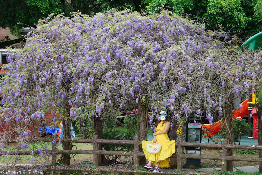 桃園｜大湖紀念公園