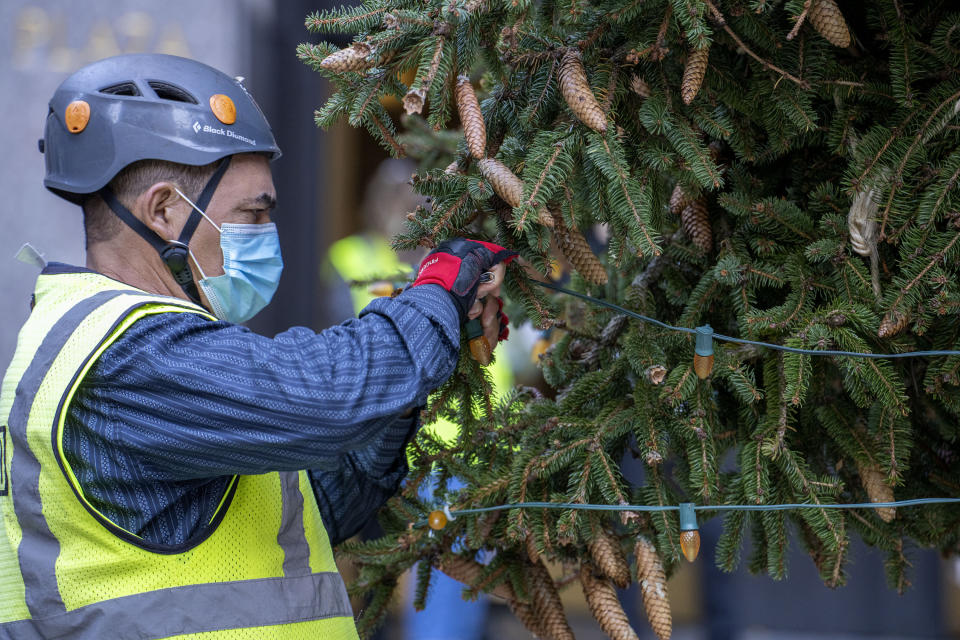 The Rockefeller Center Christmas Tree arrives from Elkton, Md., as a worker cleans it at Rockefeller Plaza from a flatbed truck, Saturday, Nov. 13, 2021, in New York. New York City ushered in the holiday season with the arrival of the Norway spruce that will serve as one of the world's most famous Christmas trees. (AP Photo/Dieu-Nalio Chery)