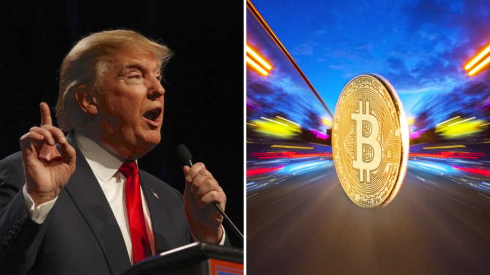 Economists Skeptical About Trump's Bitcoin Stockpile Plan: A Game-Changer Or A Mere Election Gimmick?