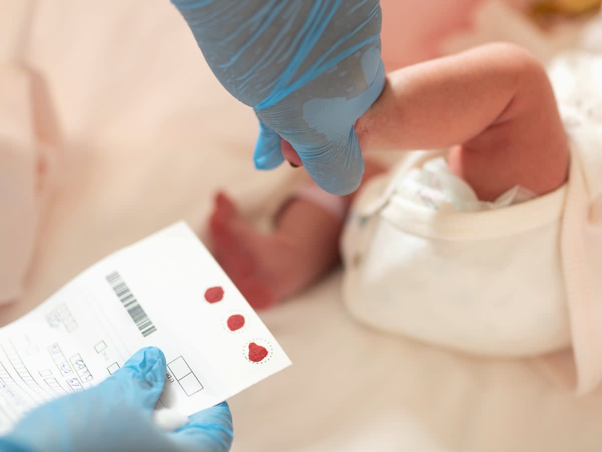 Drops of blood from a baby’s heel are dropped onto paper for genetic disease screening (isayildiz via iStock)