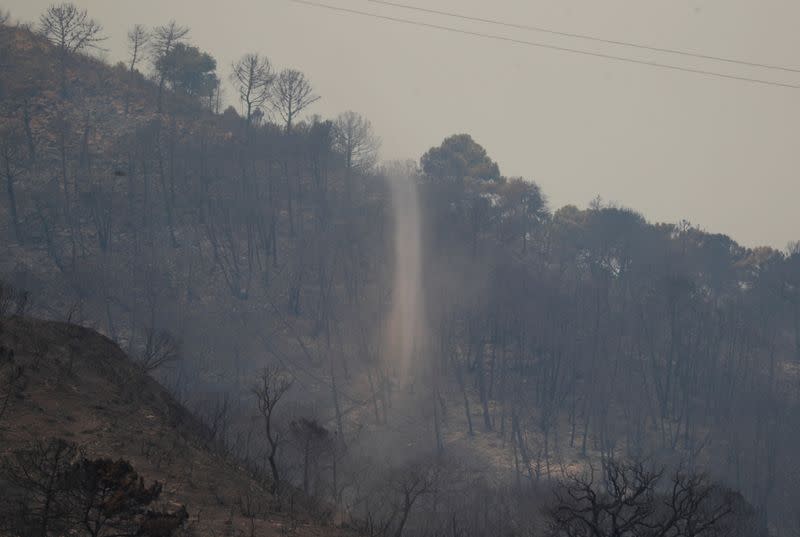 Firefighters battle wildfire burning Sierra Bermeja mountain