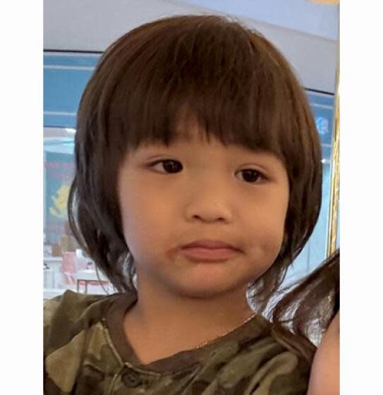 Amber alert activated by the California Highway Patrol on behalf of the Long Beach Police Dept. for 4-yr. old Justin Chan, who was abducted from Long Beach, California, on Feb. 13, 2024. The suspect as driving a 2021 gray Honda Accord with California licence plate number 8XPG349.