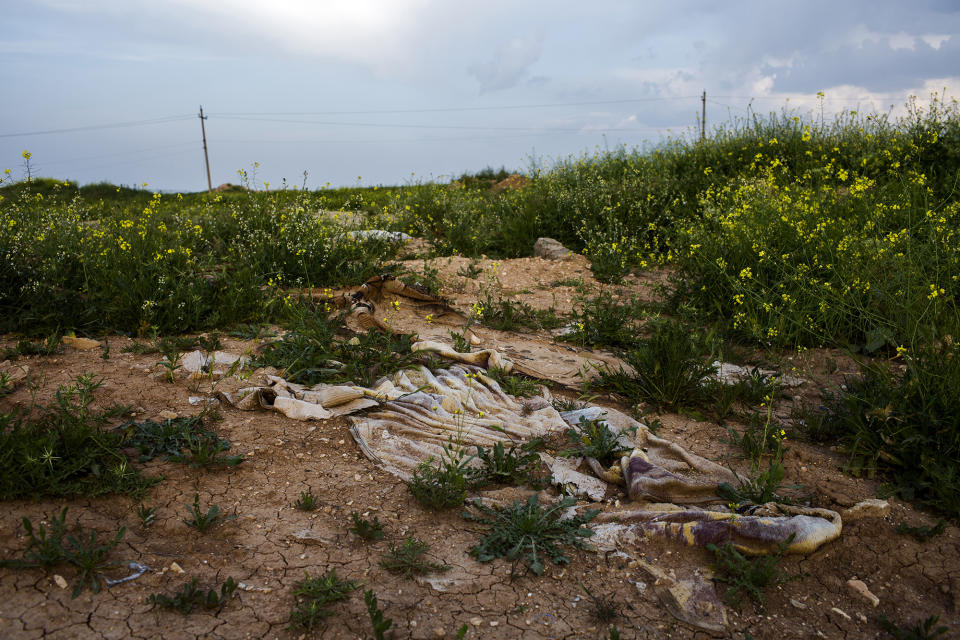 Legacy: Death among the flowers – The mass graves in Sinjar