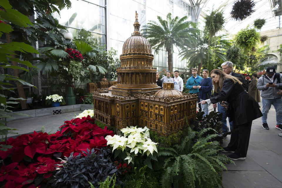 Visitors look at a replica of the U.S. Capitol adorned with different varieties of poinsettias on display at the Smithsonian's U.S. Botanical Garden, Saturday, Dec. 16, 2023, in Washington. (AP Photo/Manuel Balce Ceneta)