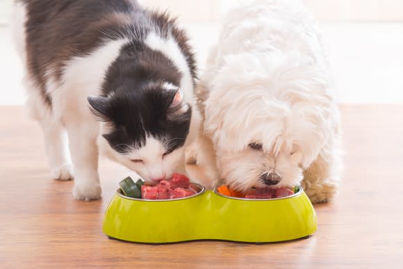 A dog and cat eat natural foods from a conjoined bowl.