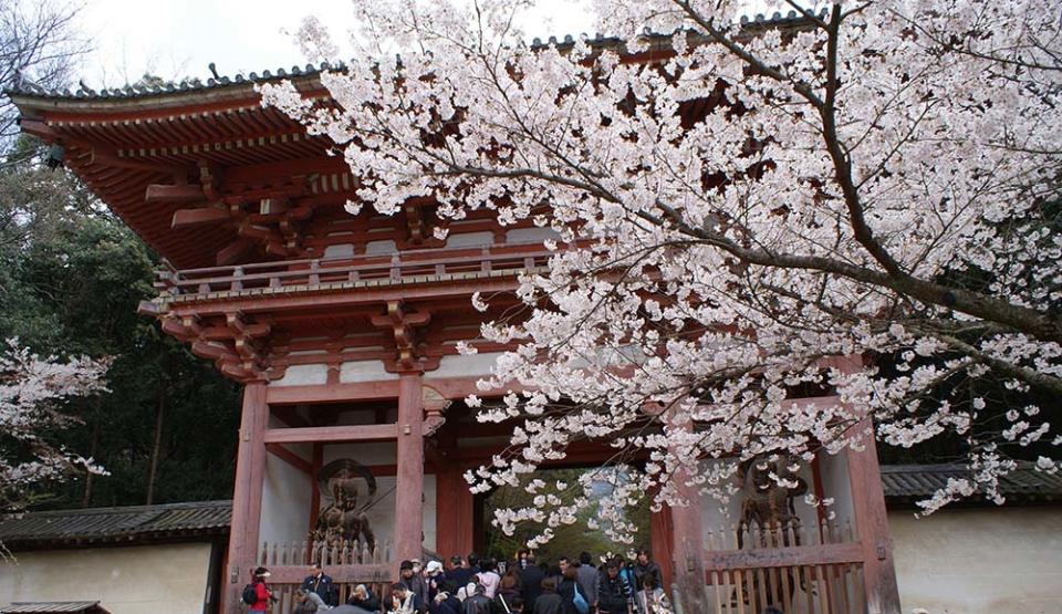 醍醐寺（Image Source : Getty Creative）