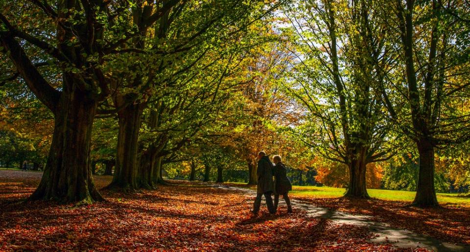 Sixty is the most popular age to retire early, according to Aviva (Peter Byrne/PA) (PA Archive)