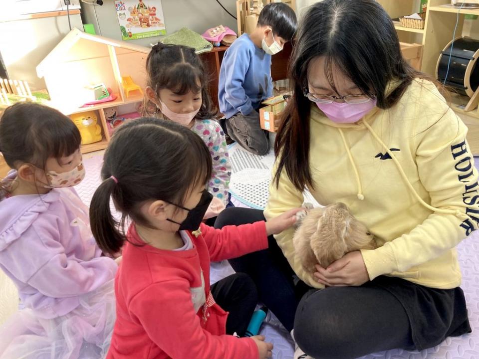 永康五王附幼認養校兔「小可」邁入第五年，幼兒們在學習的日子裡透過餵食照顧校兔學習愛與責任。　（記者汪惠松攝）