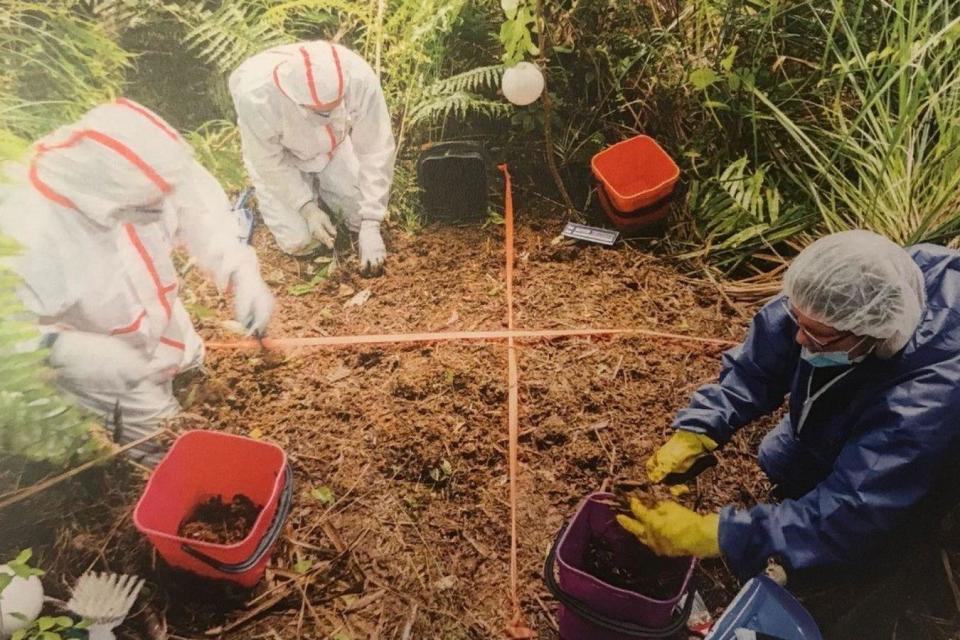 Forensic officers where the suitcase containing Grace Millane's body was found in the Waitakere Ranges, near Auckland