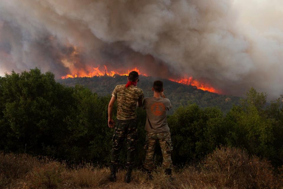 Flames burn through a forest during the wildfires in Greece last year (AP)