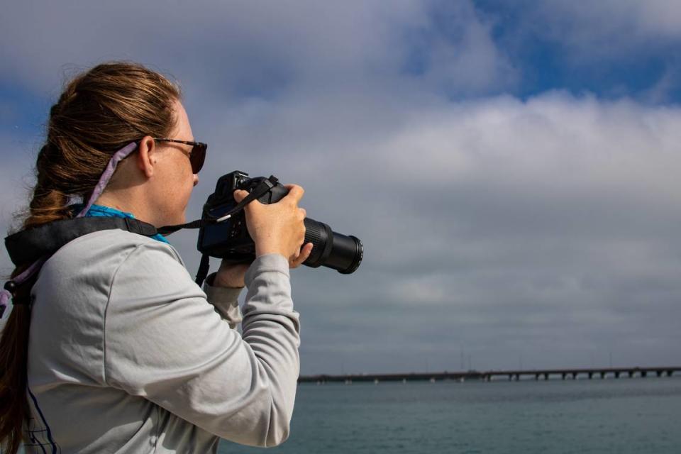 Research assistant Kylee DiMaggio photographs some of the Sarasota Bay dolphins.