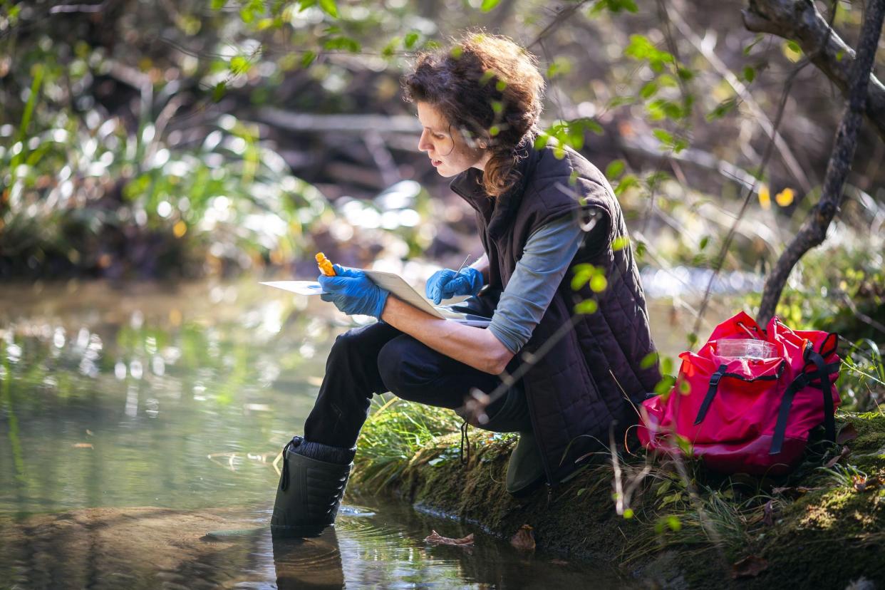 Female Biology Researcher Working in Nature.