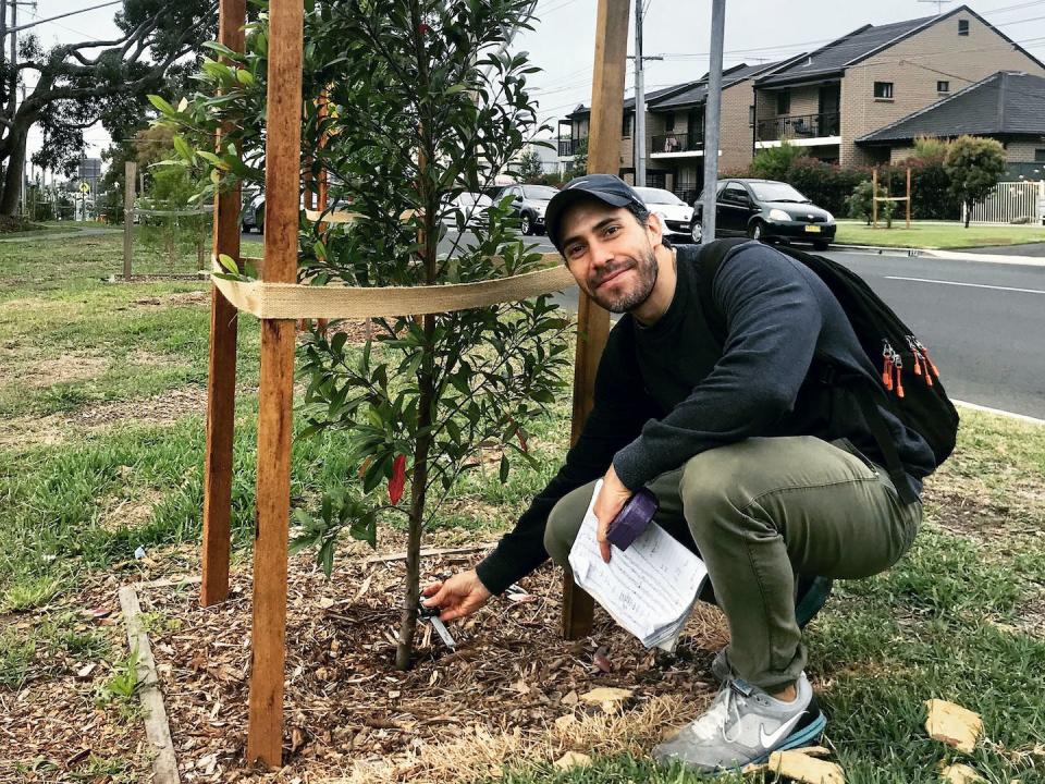 El autor Manuel Esperón-Rodríguez revisa un joven árbol: cuantos más plantemos, más podrán enfriar su entorno y mejorar sus posibilidades de hacer frente al cambio climático. Author provided