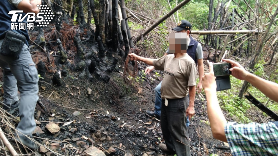 森林區域引火恐毀壞珍貴林木。（圖／TVBS）